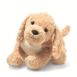 Preview: Kuscheltier Hund Goldendoodle Berno 36 cm beige | Steiff