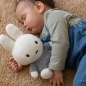 Preview: Kuscheltier Hase Fluffy blau, 25 cm | Miffy x Tiamo