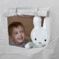 Preview: Kuscheltier Hase Fluffy 35 cm, grün | Miffy x Tiamo