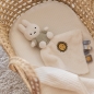 Preview: Schnuffeltuch Fluffy grün | Miffy x Tiamo