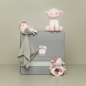 Preview: Geschenkset Little Farm | Little Dutch