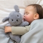 Preview: Kuscheltier Hund Snuffie 25 cm Fluffy blau | Miffy x Tiamo