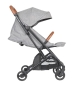 Preview: Buggy Comfort grau | Little Dutch