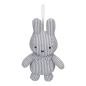 Preview: Spielbogen Miffy, Fun at Sea | Tiamo