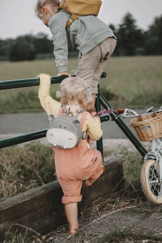 Rucksack Nilpferd Albert klein, grau | Little Who