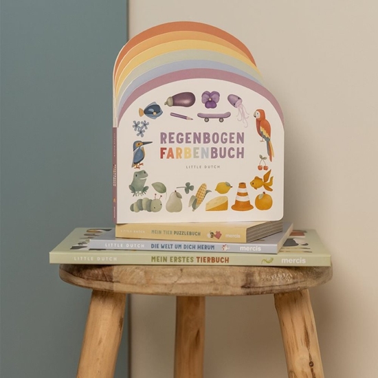 Kinderbuch Regenbogen Farbenbuch | Little Dutch
